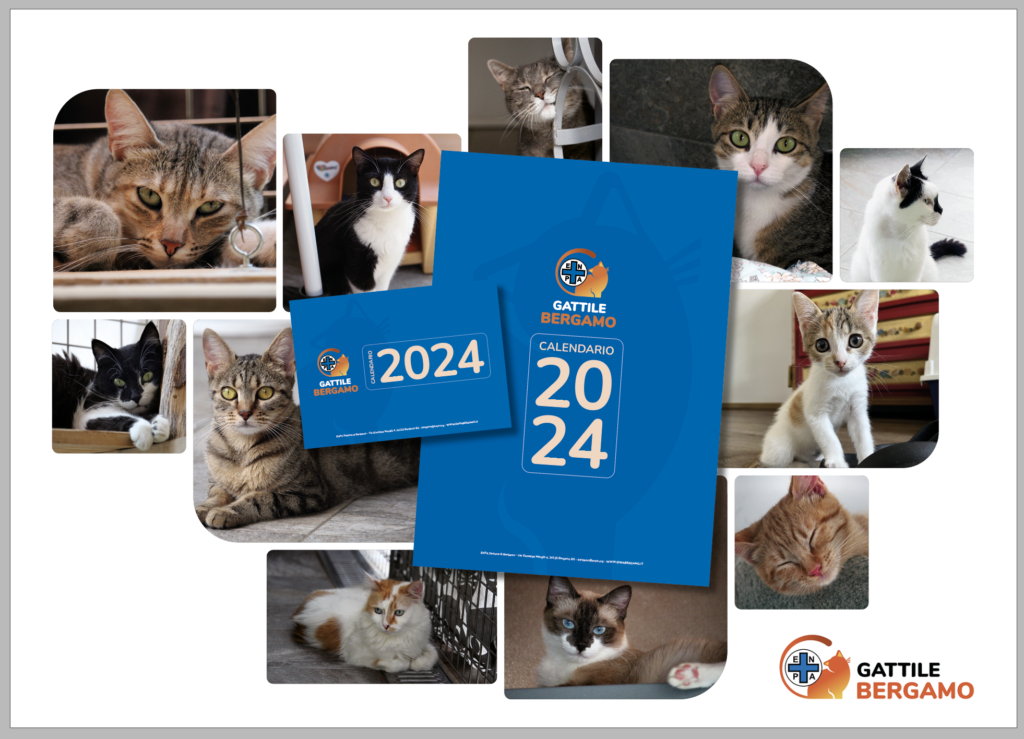 Siamo felici di presentare il nuovo Calendario 2024 di Enpa Bergamo, un progetto solidale che ha l'obiettivo di raccogliere fondi per sostenere la nostra missione di cura e protezione dei gatti bisognosi sul territorio bergamasco.